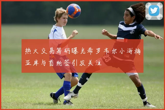 热火交易筹码曝光希罗韦尔小海梅亚库与首轮签引发关注