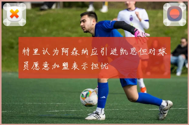 特里认为阿森纳应引进凯恩但对球员愿意加盟表示担忧